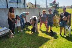 PHOTO-2025-06-17-10-41-542