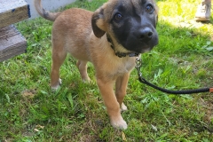 PHOTO-2025-06-17-10-41-543