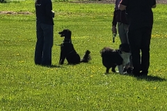 PHOTO-2025-06-17-10-58-414