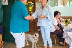 PHOTO-2025-06-17-10-58-415