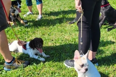 PHOTO-2025-06-17-11-05-06