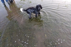 PHOTO-2025-06-17-11-05-063