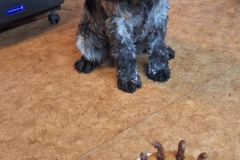 PHOTO-2025-06-17-11-07-00