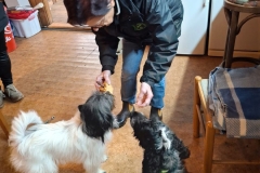 PHOTO-2025-06-17-11-07-002